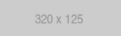 320x125